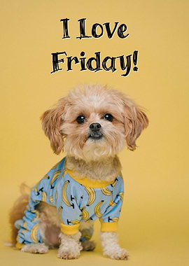 Dog Quote I Love Friday