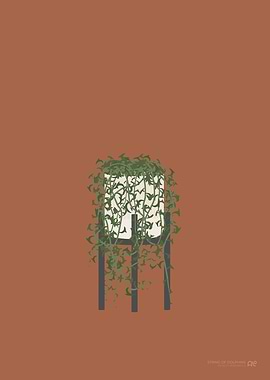 String of Dolphins Plant