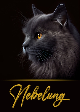 Elegant Nebelung