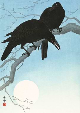 Two crows on a branch Ohar