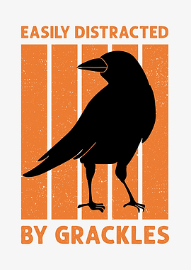 Blackbird Grackle Bird