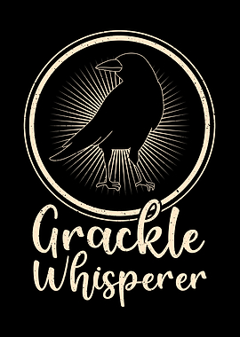 Blackbird Grackle Bird