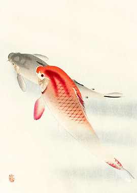 Two carp Ohara Koson Ukiyo