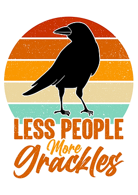 Blackbird Grackle Bird