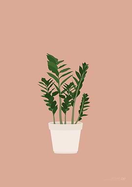 ZZ Plant Illustration