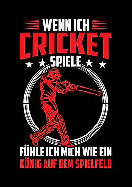 When I play cricket I feel