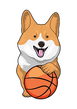 Corgi Basketball