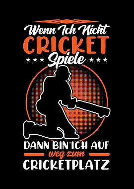 When I dont play cricket I