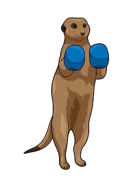 Meerkat Boxer Boxing