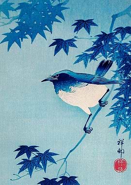 Robin on a Maple Branch