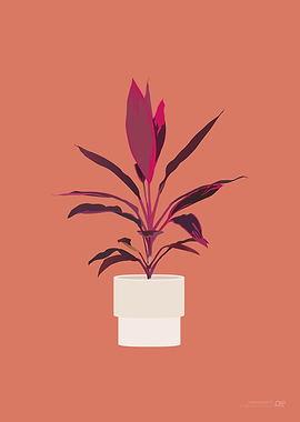 Hawaiian Ti Houseplant