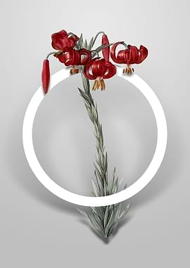 Vintage Lily Flower Circle