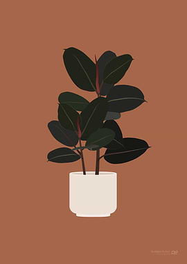 Rubber Plant Illustration