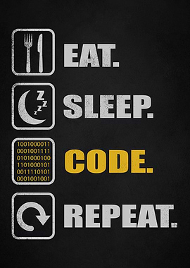 programmer code