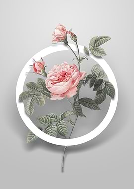 Pink Rose Turbine Flower