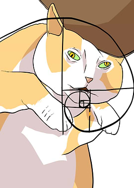 Golden ratio cat
