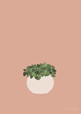 Nerve Plant Illustration