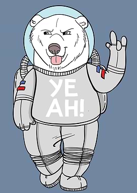 bear space