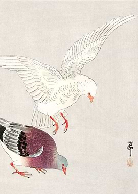 Two pigeons Ohara Koson