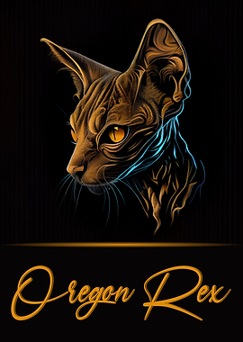 Oregon Rex Portrait