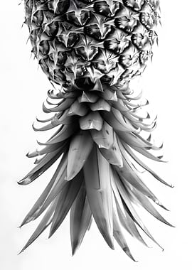 Upside Down Pineapple