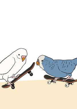 skateboard bird