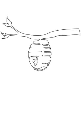 Honeycomb line drawing