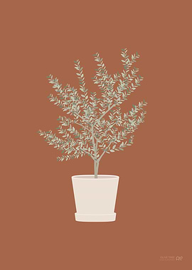 Olive Tree Illustration