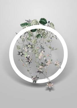 Harebell Of St Angelo Art