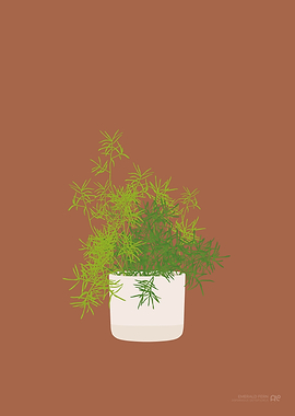 Emerald Fern Illustration