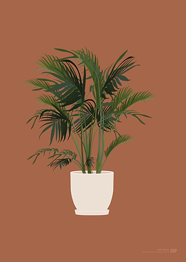 Cat Palm Illustration