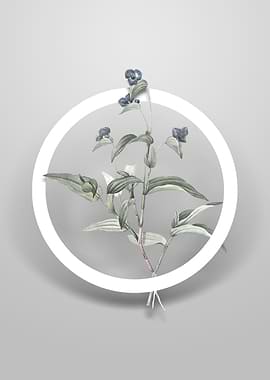 Blue Spiderwort Flower Art