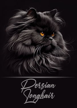 Persian Longhair Portrait