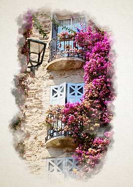 Flowers Bormes Les Mimosas