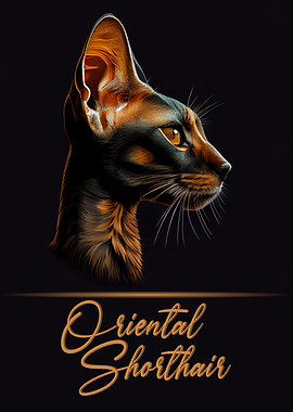 Oriental Shorthair