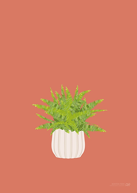 Boston Fern Illustration