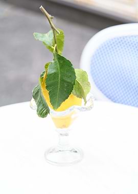 Amalfi Lemon Dream 1