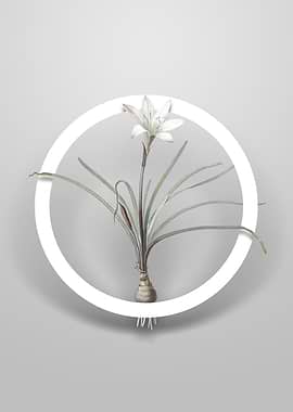 Vintage Rain Lily Flower