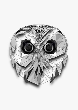 Owl Half Wireframe Lowpoly
