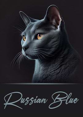 Elegant Russian Blue