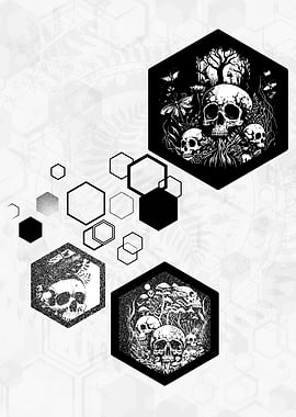 Skulls and hexagons