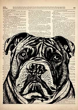 American Pit Bull art