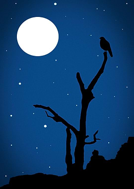 Midnight Magic Landscape