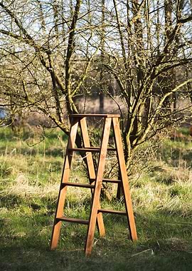 Ladder in the garden