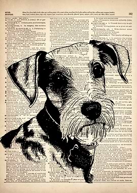 Terrier Dog ILLUSTRATION