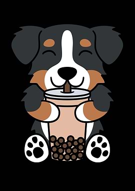 Bernese Mountain Dog Boba