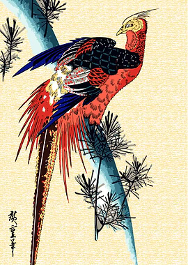 Vibrant Pheasant
