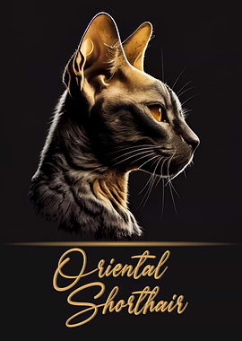 Elegant Oriental Shorthair