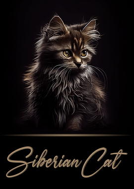 Siberian Cat
