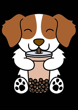 Brittany Spaniel Boba